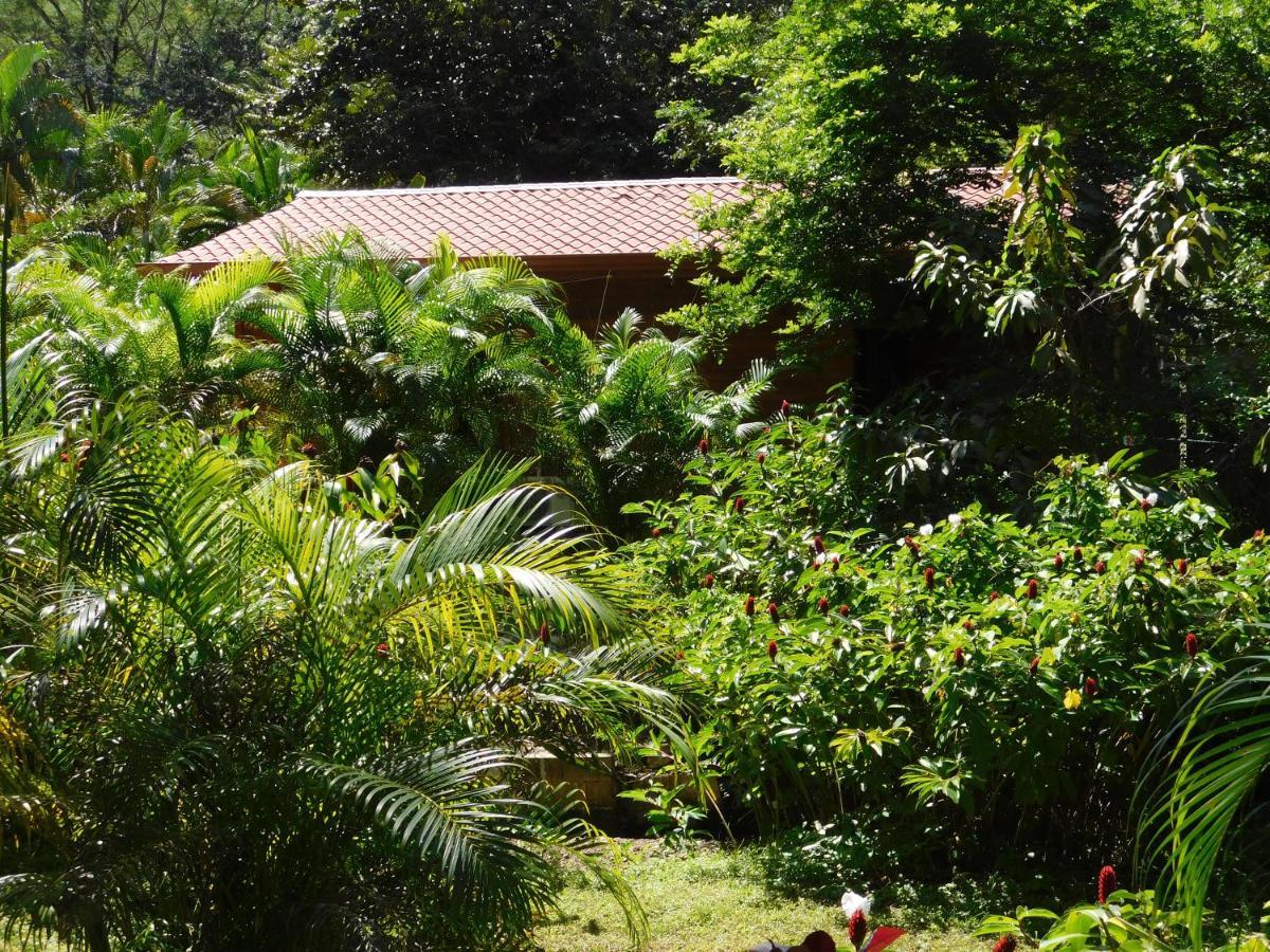 Villasjungle 2 ซามารา ภายนอก รูปภาพ